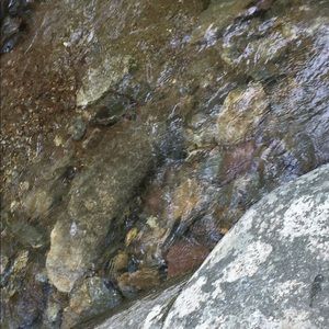 Meet your Posher, Patty